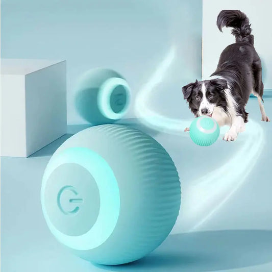 Electric Auto Rolling Pet Ball